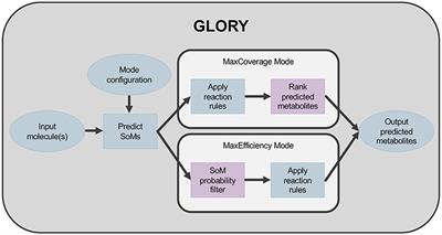 GLORY: Generator of the Structures of Likely Cytochrome P450 Metabolites Based on Predicted Sites of Metabolism